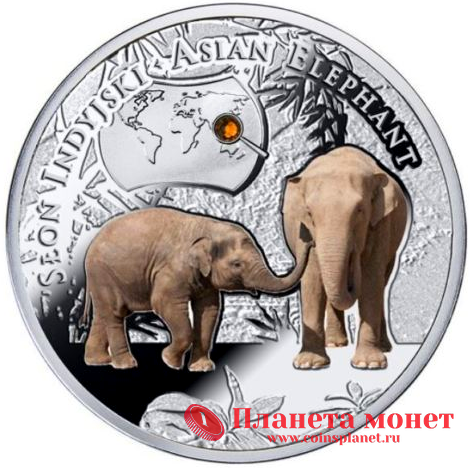 Реверс монет о слонах