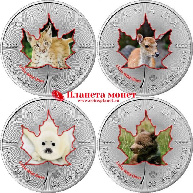 Реверсы монет с детенышами диких животных
