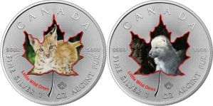 Забавные мордашки детенышей диких животных смотрят с пятидолларовых монет