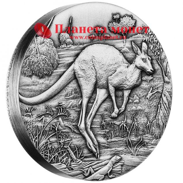Реверс монеты Австралийский кенгуру