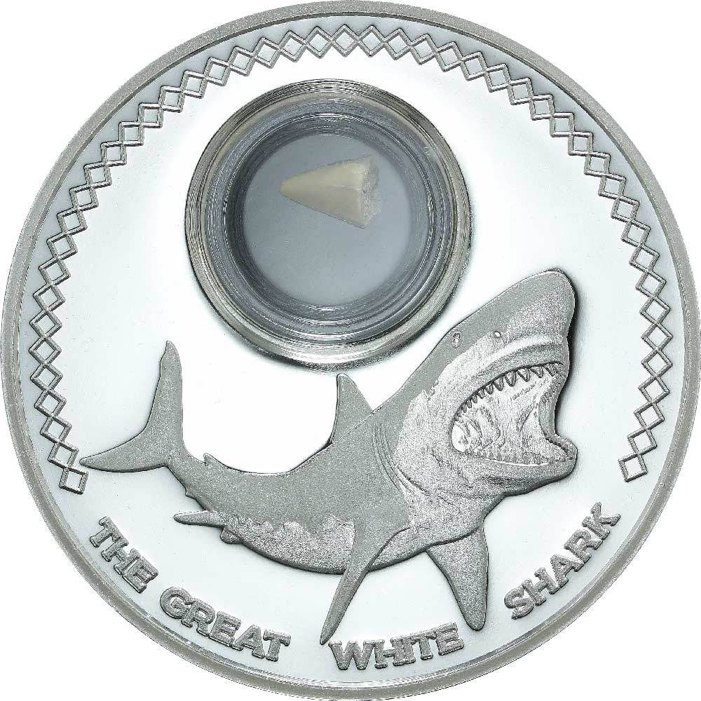 Реверс монеты с акульим зубом
