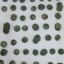 Около сотни медных монет найдено в севастопольских окрестностях