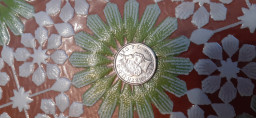 coins very rare and porcelain